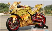 Kawasaki Ninja 250R 